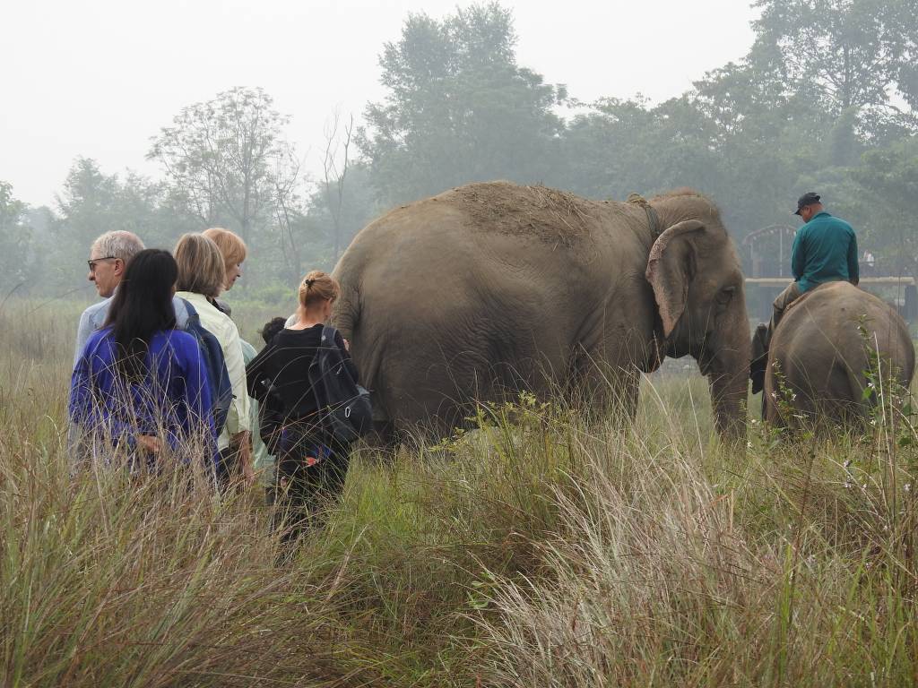 Sunrise Elephant Bush Walk